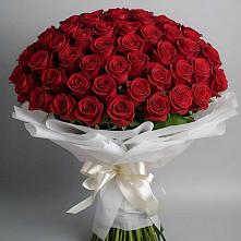 Букет 101 Красная роза Блэк Мэджик в Назии