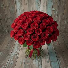 Букет 55 Красных роз Фридом #REPLACE_PRED# Назии