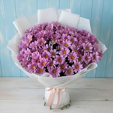 Букет цветов из:  Хризантемы #REPLACE_PRED# Назии