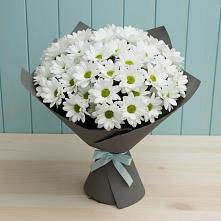 Букет цветов из:  Хризантемы #REPLACE_PRED# Назии