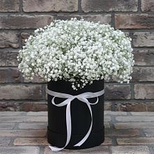 Цветочная композиция из Гипсофила в шляпной коробке в Назии