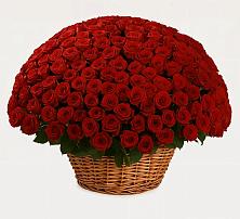 Премиум букет из: Розы в Назии